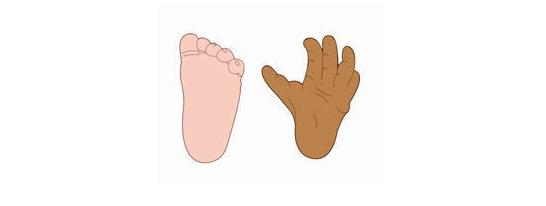 12万年前的人类脚印,200万年前就有人类足迹