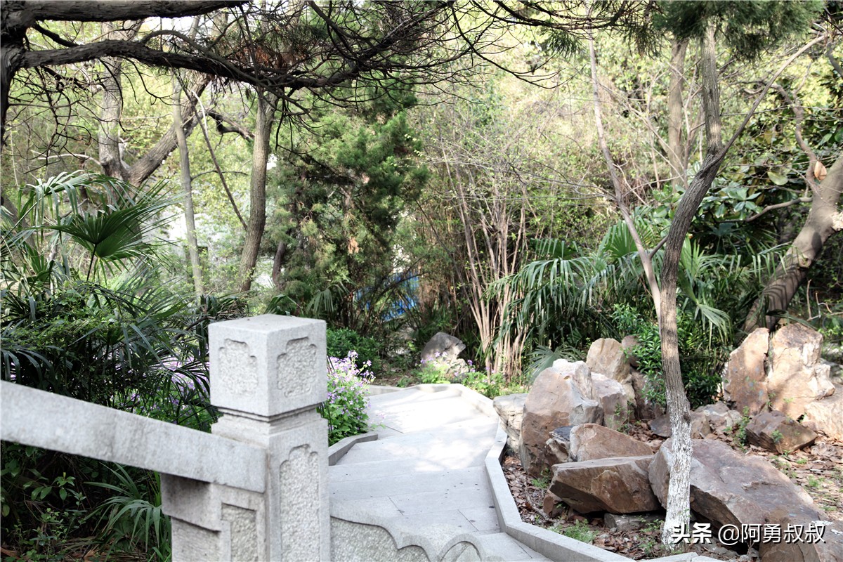 全国百强高中苏州有几个,苏州实验中学科技城校区