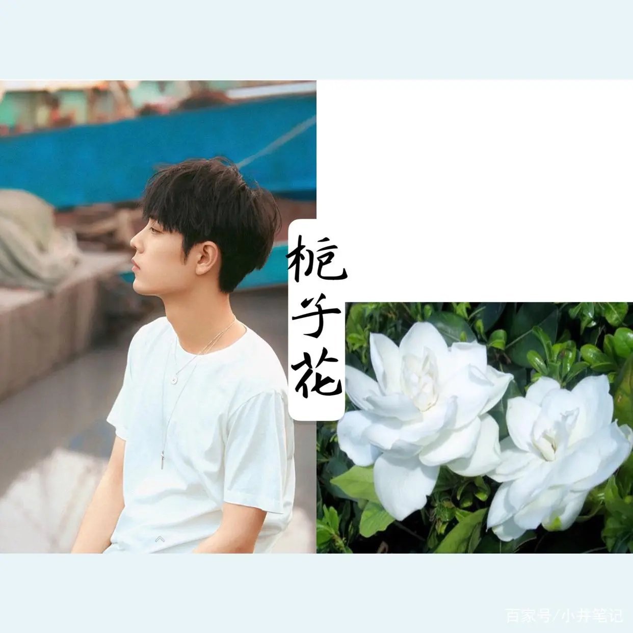 肖战,我把评论里的支持,写给你看(三)