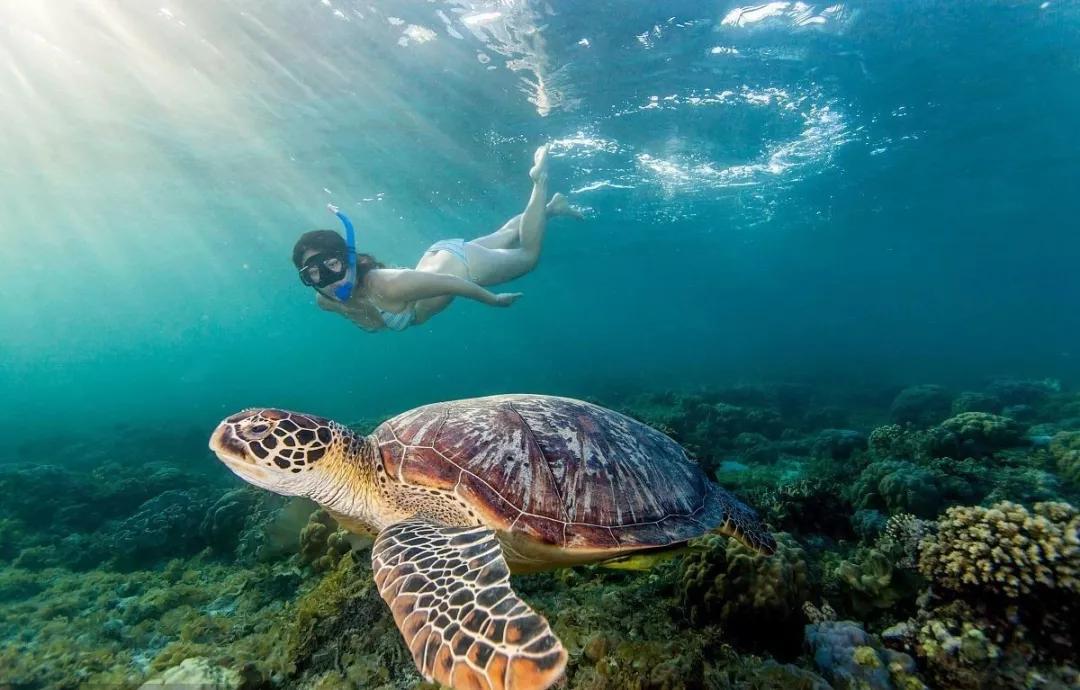 菲律宾旅游攻略最详细介绍,菲律宾游玩最全攻略