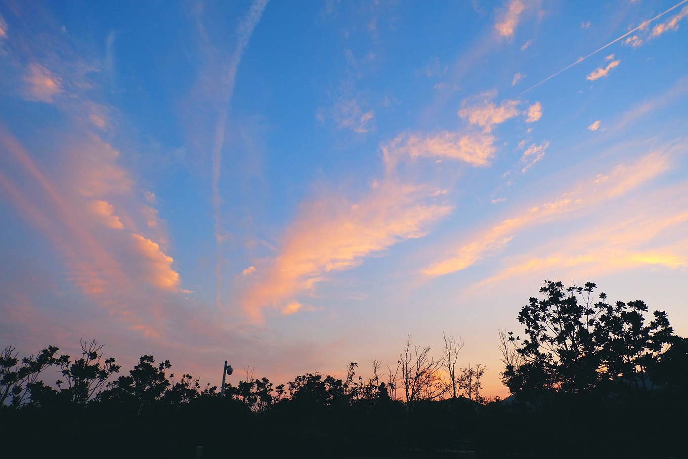 骆驼青岛,骆驼旅行在路上
