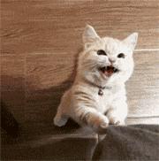 13岁女童网聊被拍裸照性侵:你永远不知道,网线那边是人是鬼