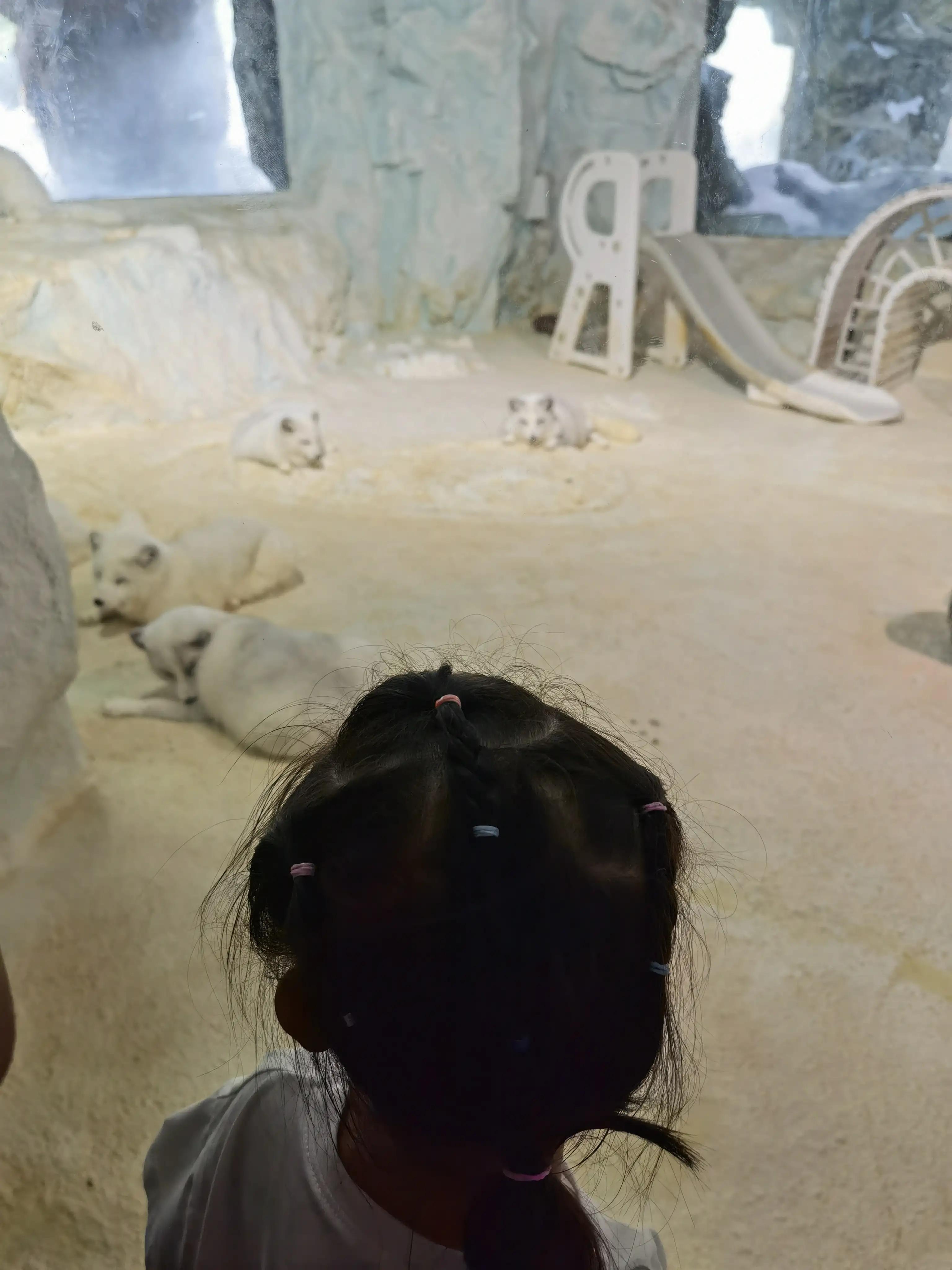 珠海长隆海洋王国之旅感受,珠海长隆海洋王国旅游全攻略