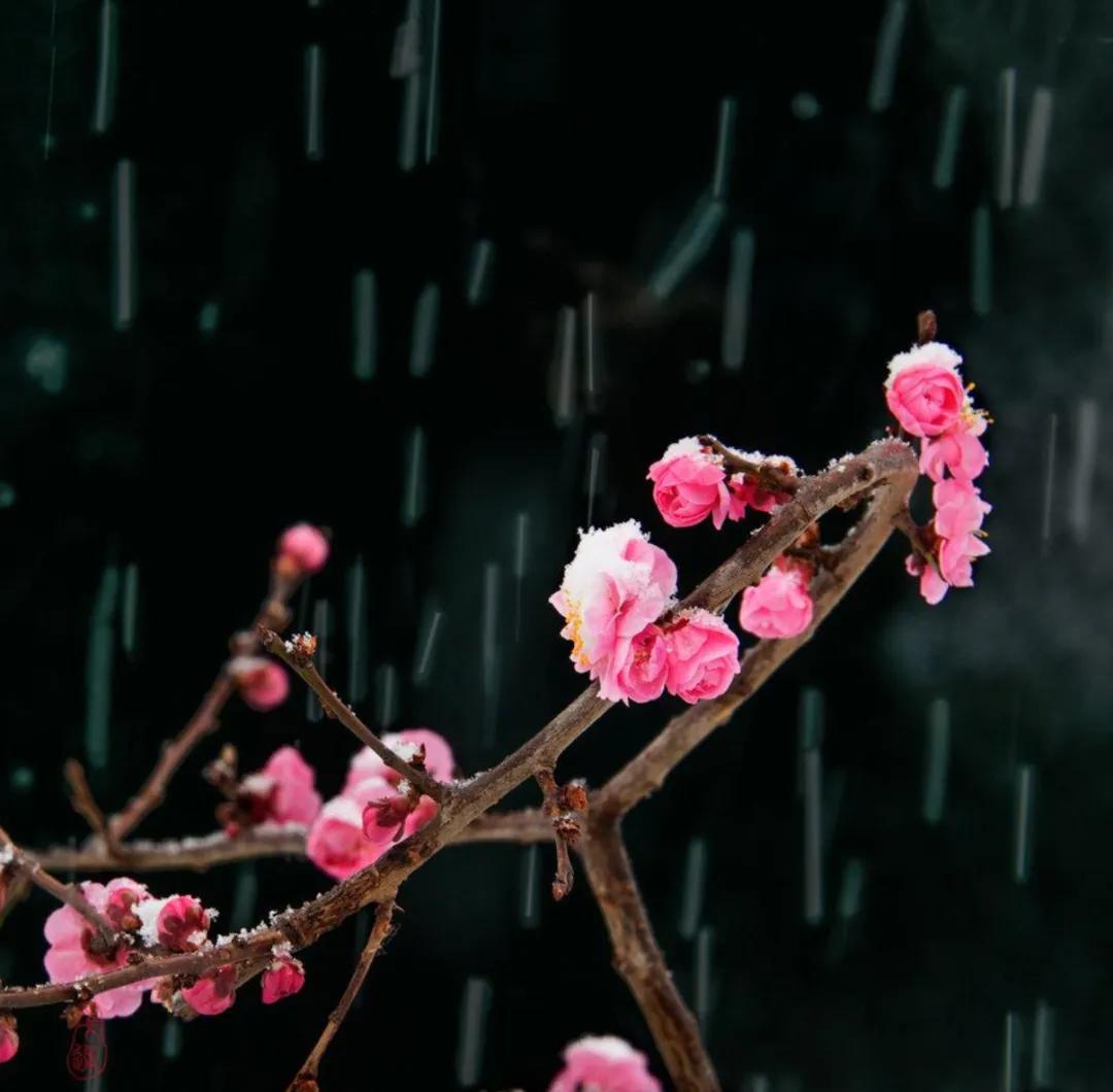 海子最美的六首诗,海子面朝大海春暖花开在线阅读