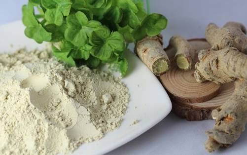 三七保健药,每天认识一味药三七