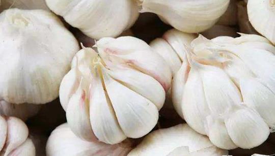 为什么会出现空心蒜？要怎么预防这种现象呢？