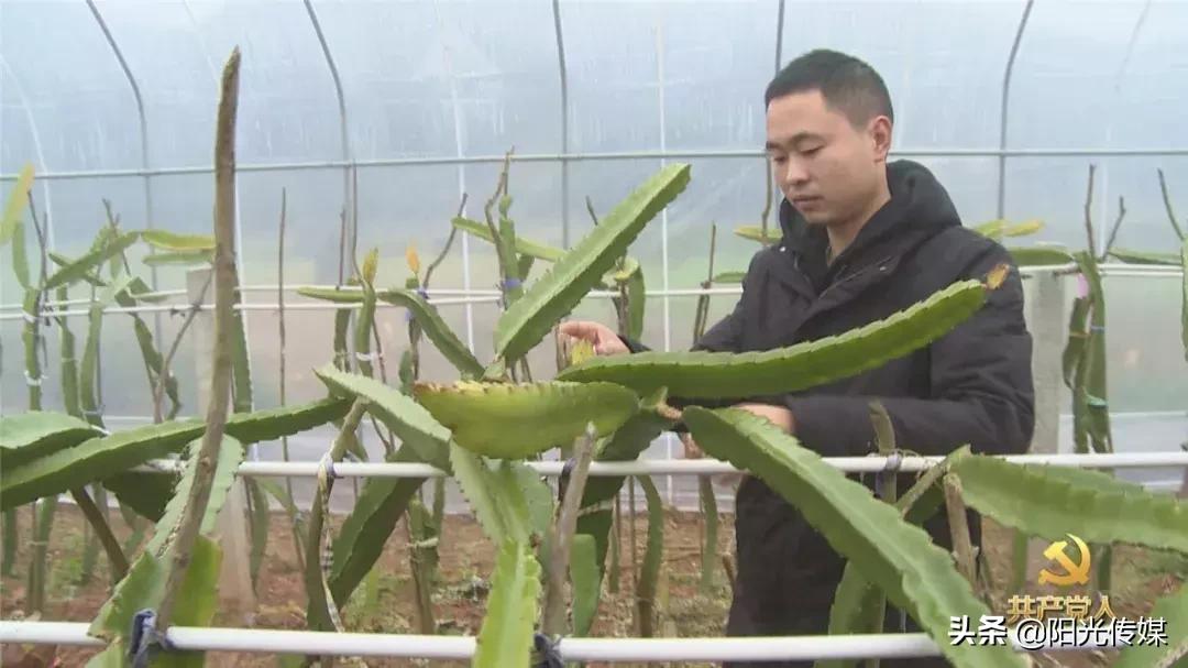 和新镇白腊村,和新镇书记