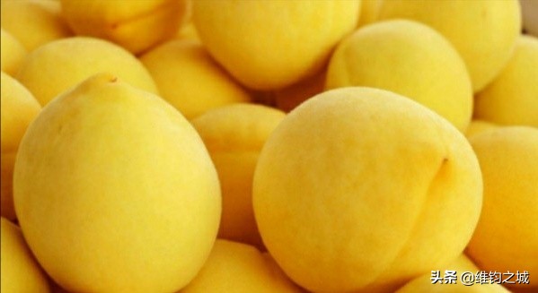 株洲十大美食店,株洲美食推荐必吃前十名