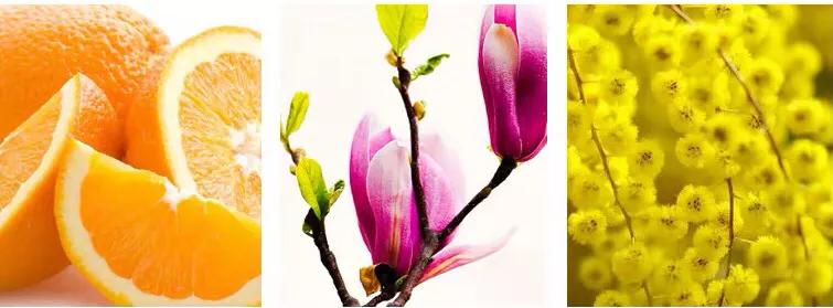 5款好闻到炸裂的香水,5款香水