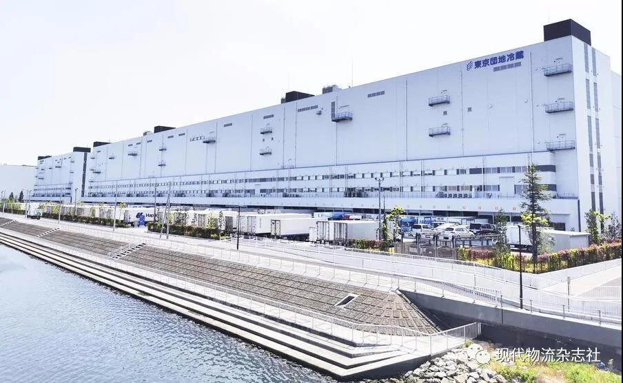 电商巨头占据半壁江山,电商领军者崛起