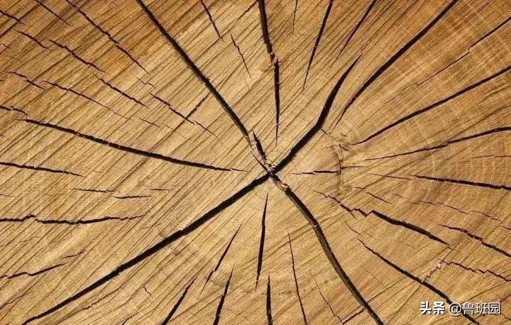 实木家具开裂最好的处理办法,实木家具开裂补救措施