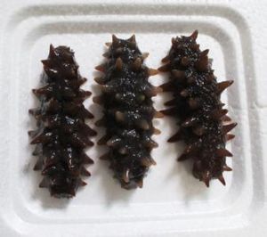 什么样的海参最好吃、价值最高?快来get你的鉴别指南吧