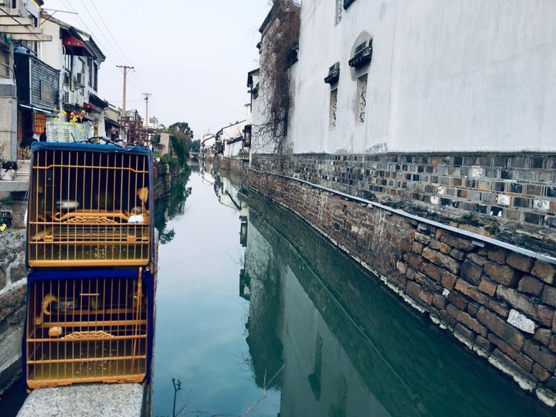 文爱绣眼武爱眉儒雅之处论收藏