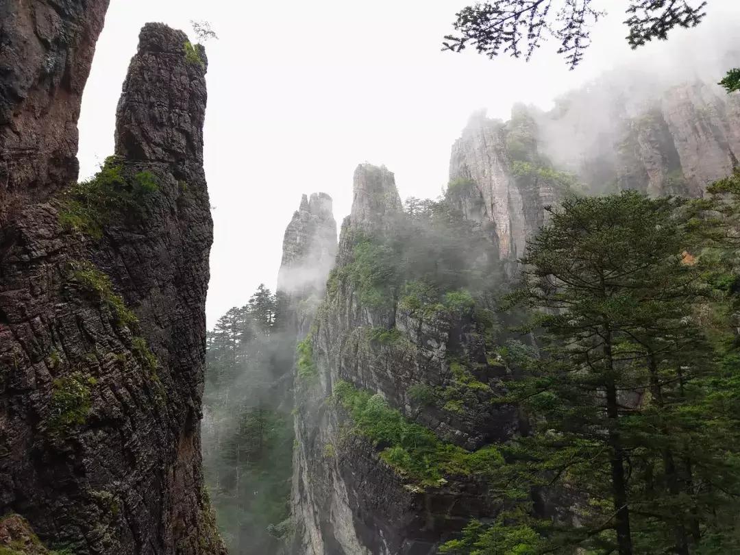 神农架攻略书,重庆出发神农架三日自驾游攻略