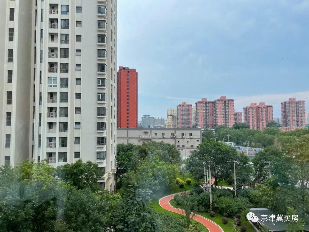 朝青2018年价格,朝青价格走势