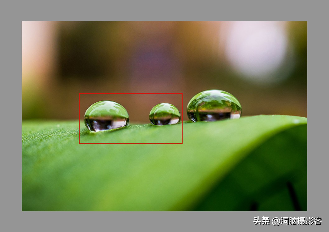 拍照对焦的基本知识,拍图片对焦方法是什么原理