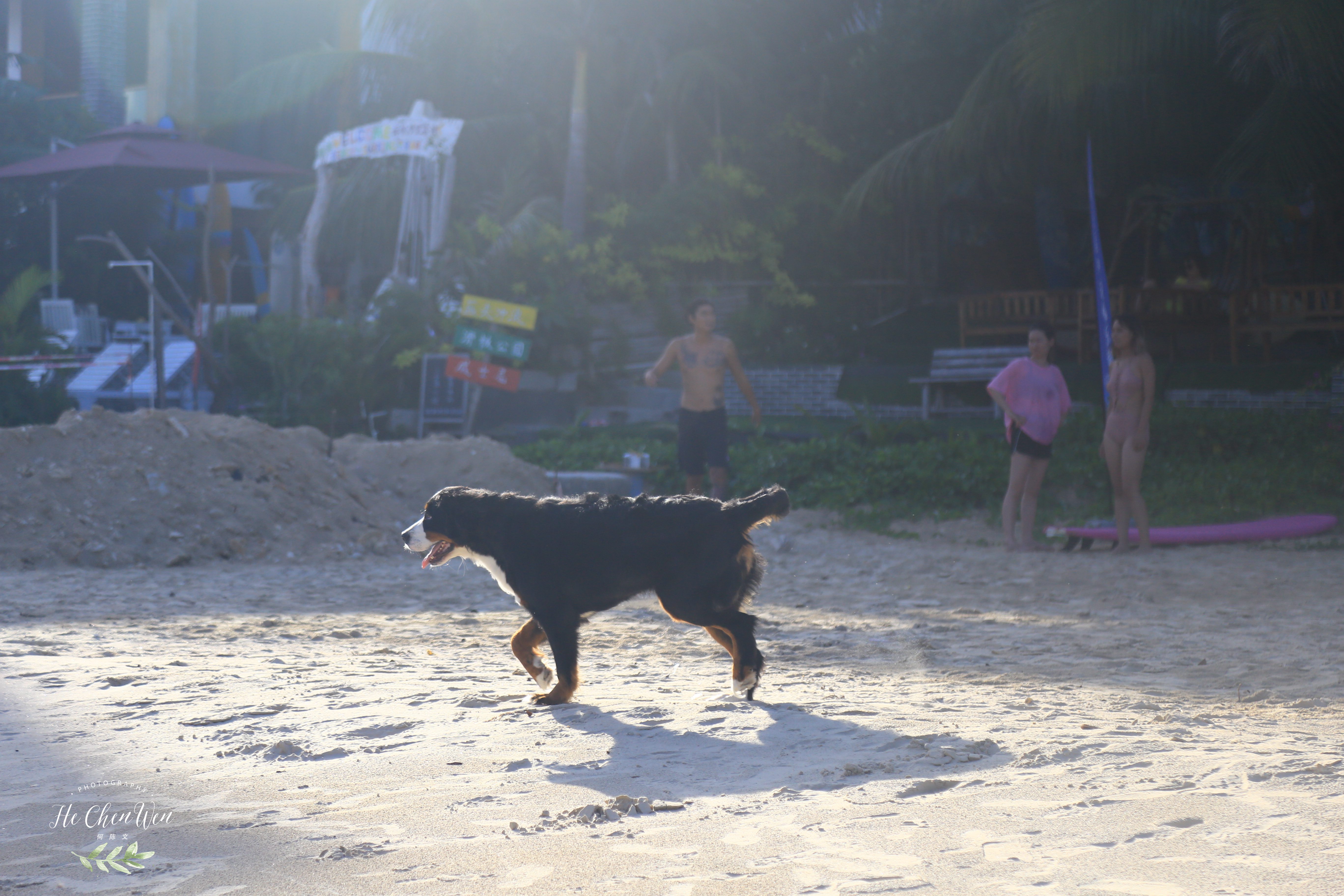 三亚的一个小村庄,三亚的一个渔村