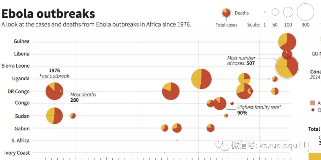 杀死兔子的方法,杀死兔子有什么后果