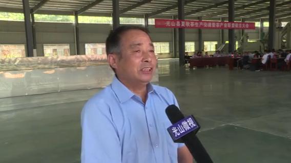 信阳茶叶产业体系,信阳茶联盟现状