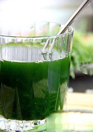 有关小龙虾的谣言,谣言小龙虾的致命真相