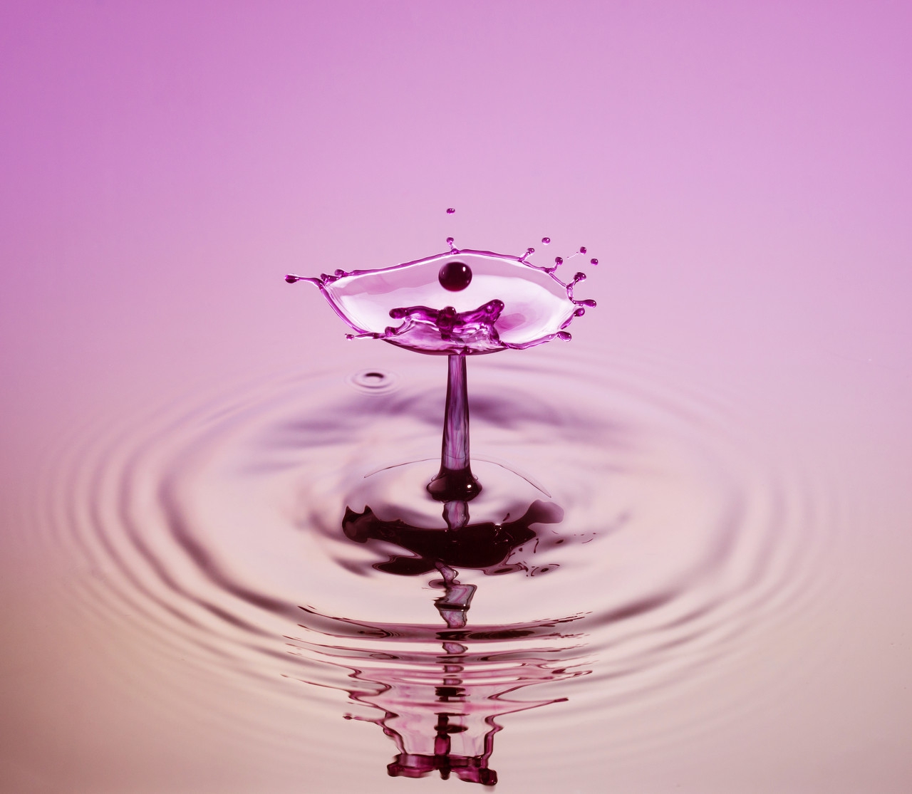 人像摄影为什么要用闪光灯,人像摄影闪光灯的运用