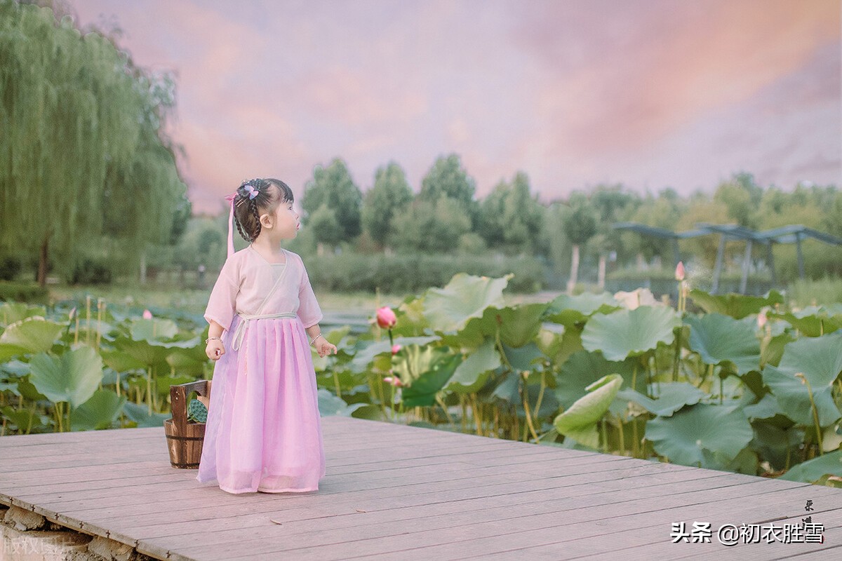 儿童节七言绝句的诗,写儿童节的儿童诗