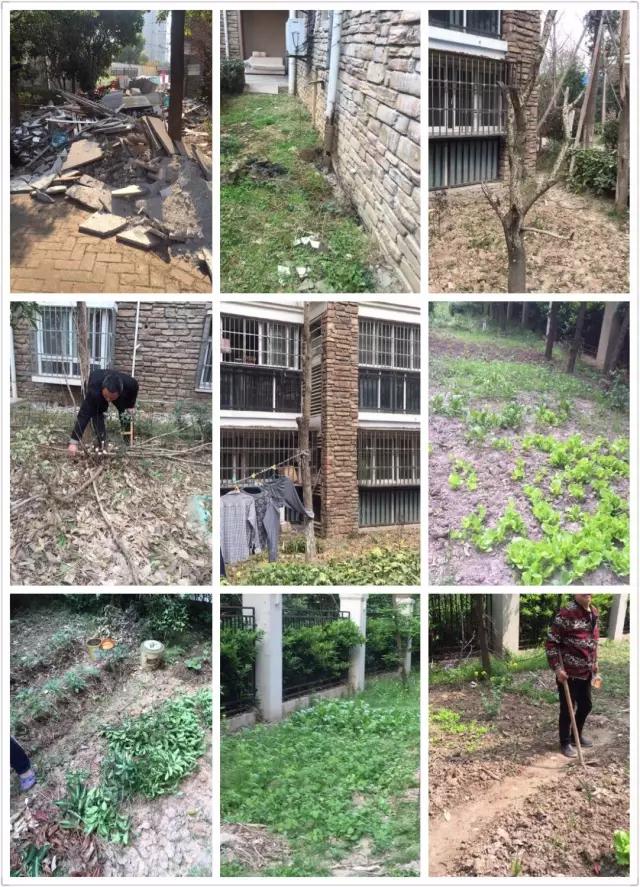 江北又一家小区引入弘阳物业！1171户业主有福了