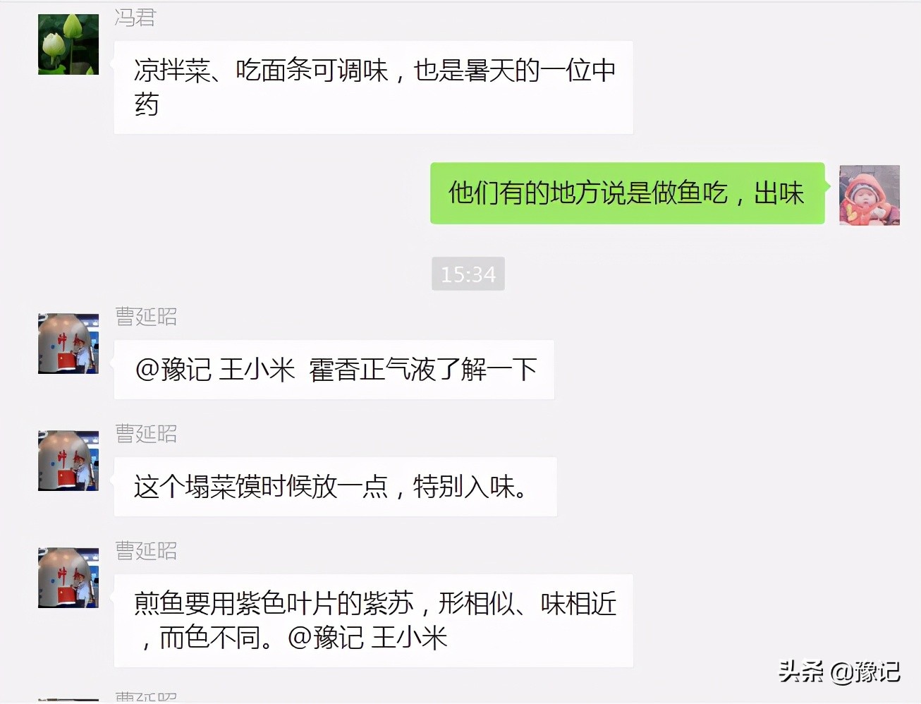 能分清荆芥、十香、薄荷、五香长相的河南人，请举手|豫记