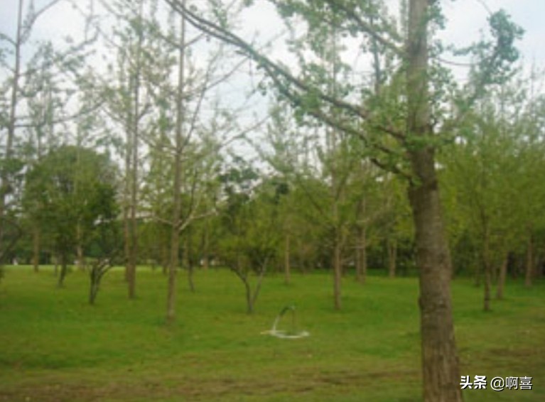 桂林风景区一日游景点大全,桂林国家森林公园游玩攻略路线