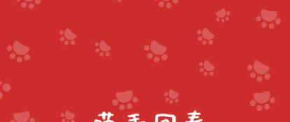 猫咪低血糖症状表现,大猫咪低血糖症状表现