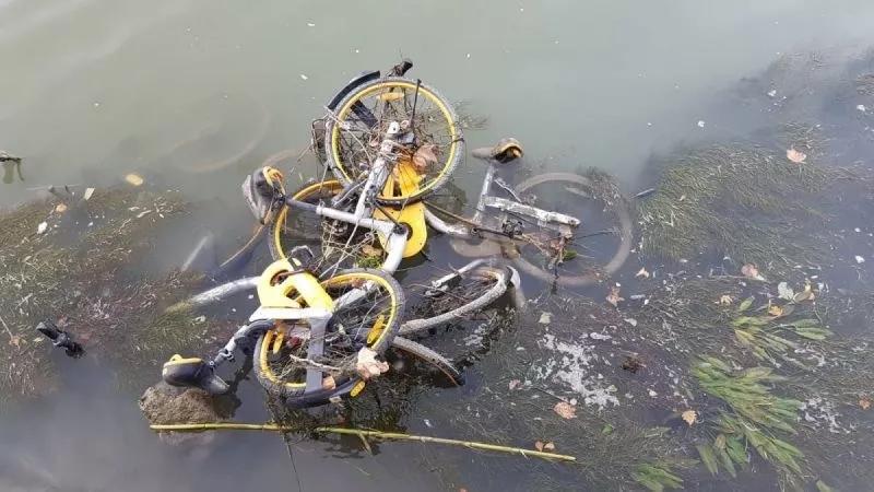 共享单车死亡后续,我国共享单车报废