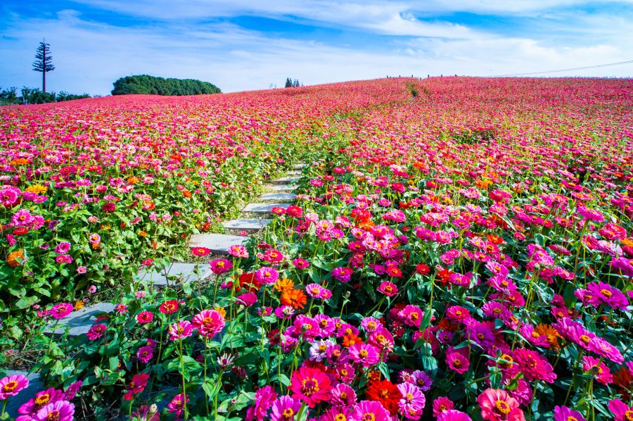苏州小众旅游景点推荐,苏州好看又小众的拍照圣地