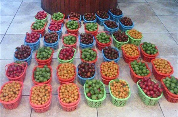 值得去的农家乐和休闲农庄,如何打造大型农家乐生态园