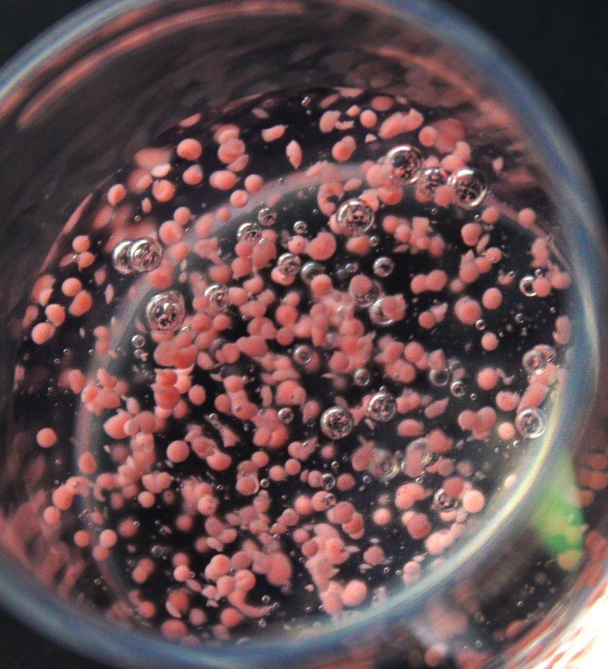 用了那么多年的纸巾你用对了吗,用了这么多年的牙膏你用对了么