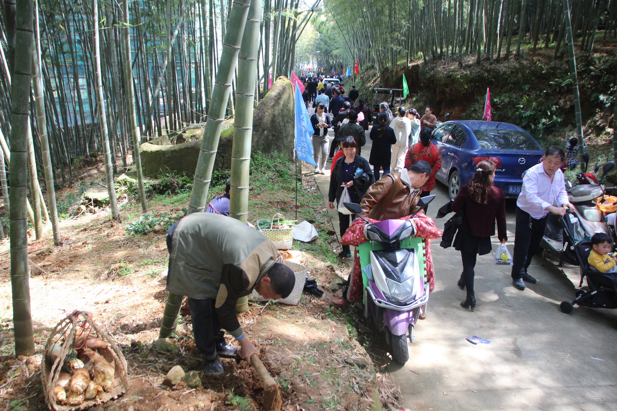 浙江临海沿江镇竹笋,临海市野生竹笋