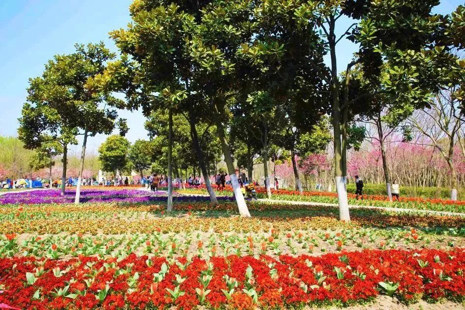 上海春游踏青好去处,上海春季踏青旅游攻略