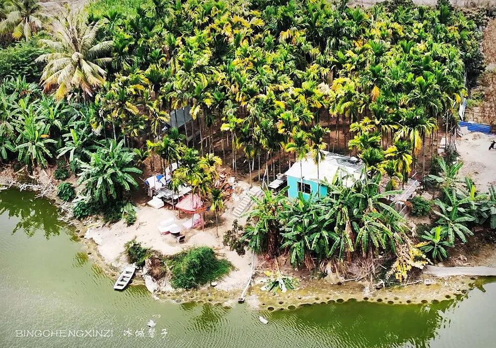 我的旅居生活90多天,我的旅居海南生活系列
