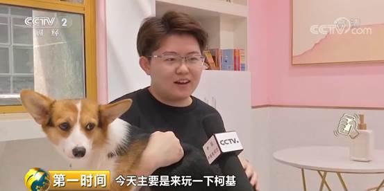 给宠物整个造型，要花5000块钱？小宠物大市场：宠物行业总市值首次破2000亿