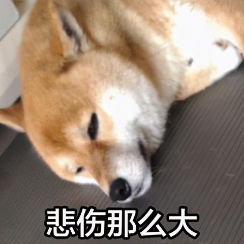 人犬共患病有哪些,人犬共患的传染病