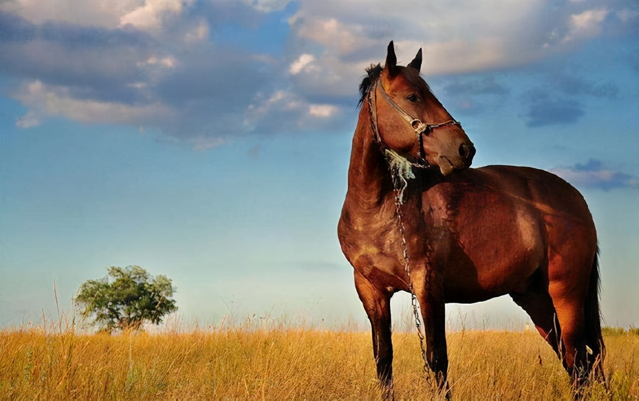 生活冷知识素材哪里找,生活冷知识热门作品