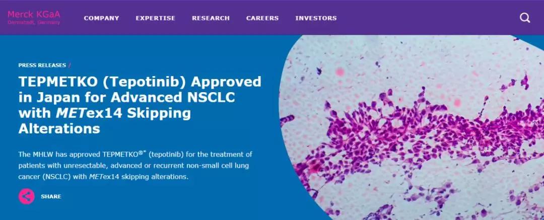 全球首个获批上市口服MET*制剂抑**，治疗晚期或复发性非小细胞肺癌