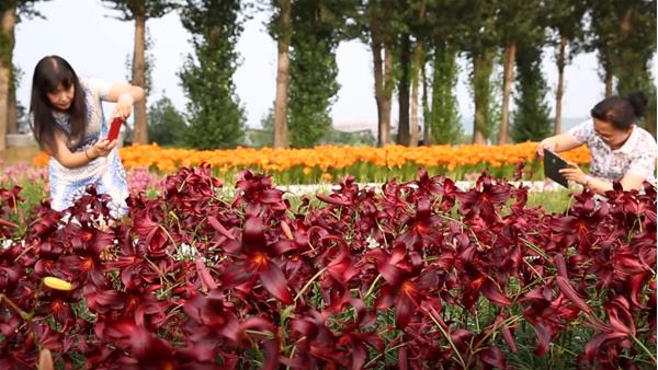 澶忔棩鐙傛鏉ヨ,澶忔棩鐙傛鐩涘