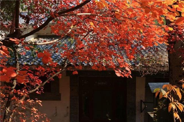 济南旅游景点推荐带孩子玩,济南旅游景点推荐适合带孩子