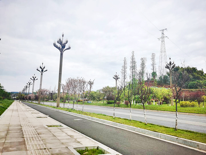 南充市顺庆区金融大道周边变化,南充北部新城金融大道阳光君悦府