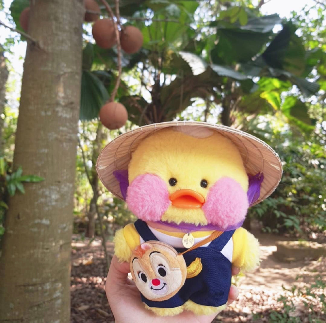 【可爱玻尿酸鸭头像】把身体照顾好，把喜欢的事做好