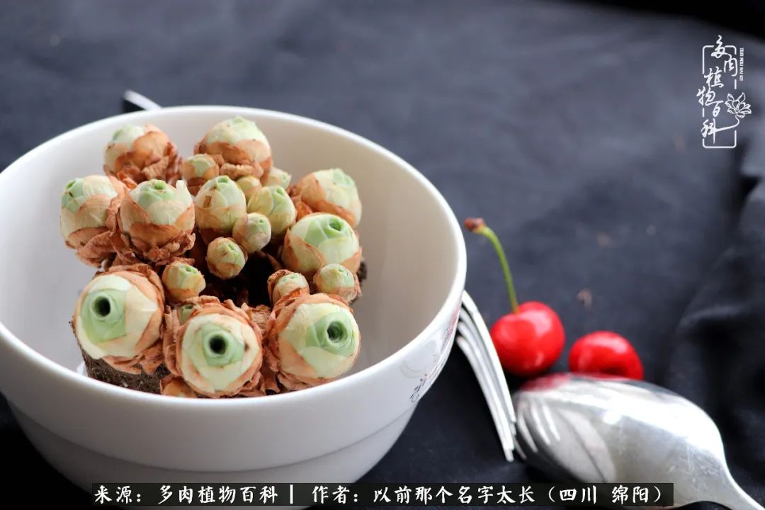 山地玫瑰夏天,夏季的山地玫瑰