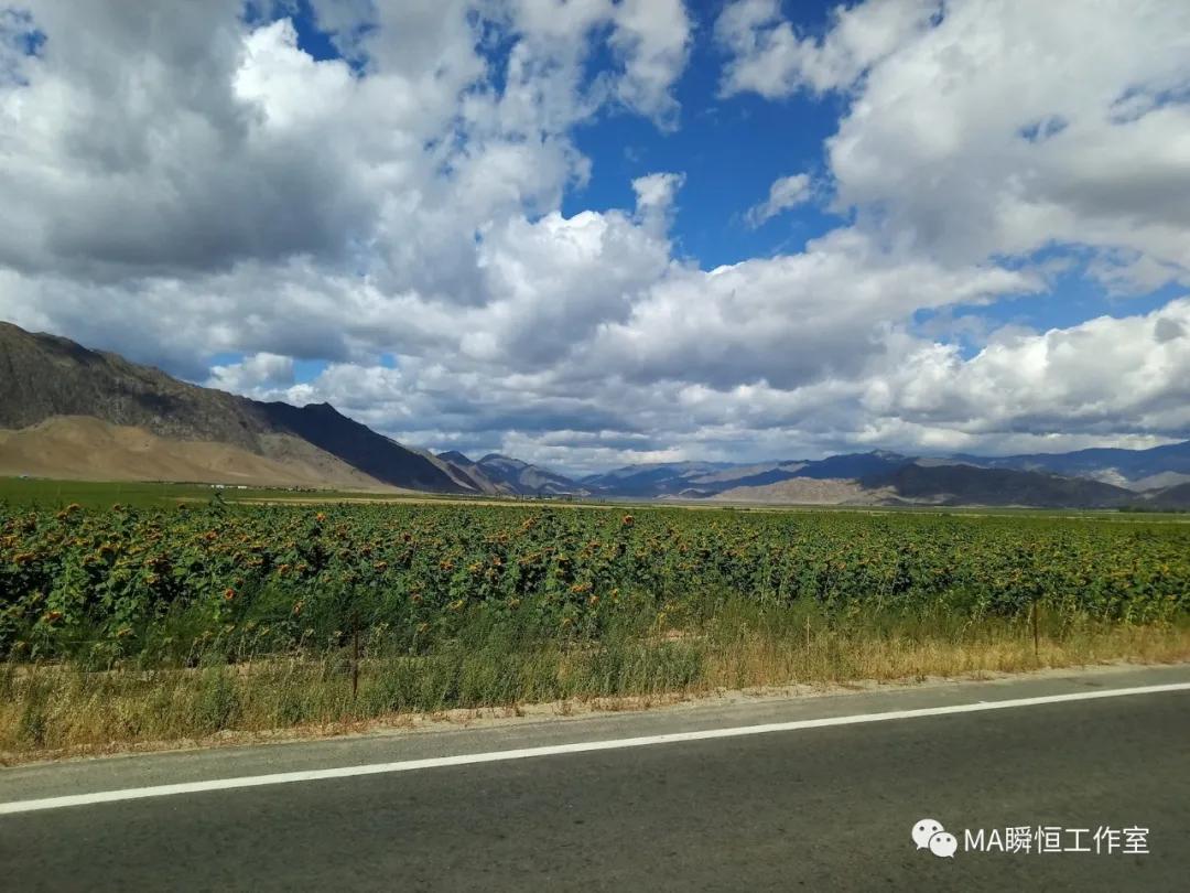 骑行中国第21天露营,骑行北疆大环线