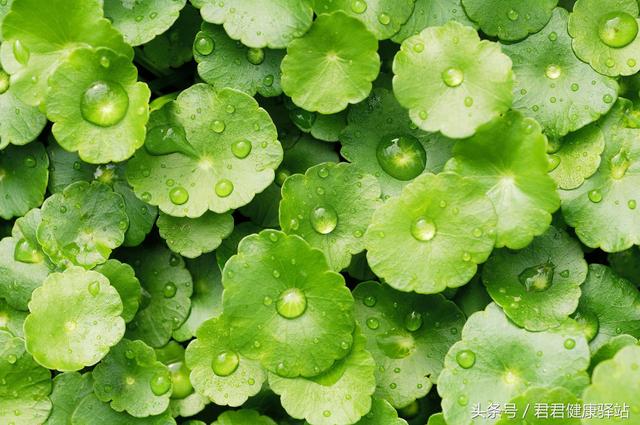 小孩自汗盗汗中医药方,张景明自汗盗汗中医辨证论治