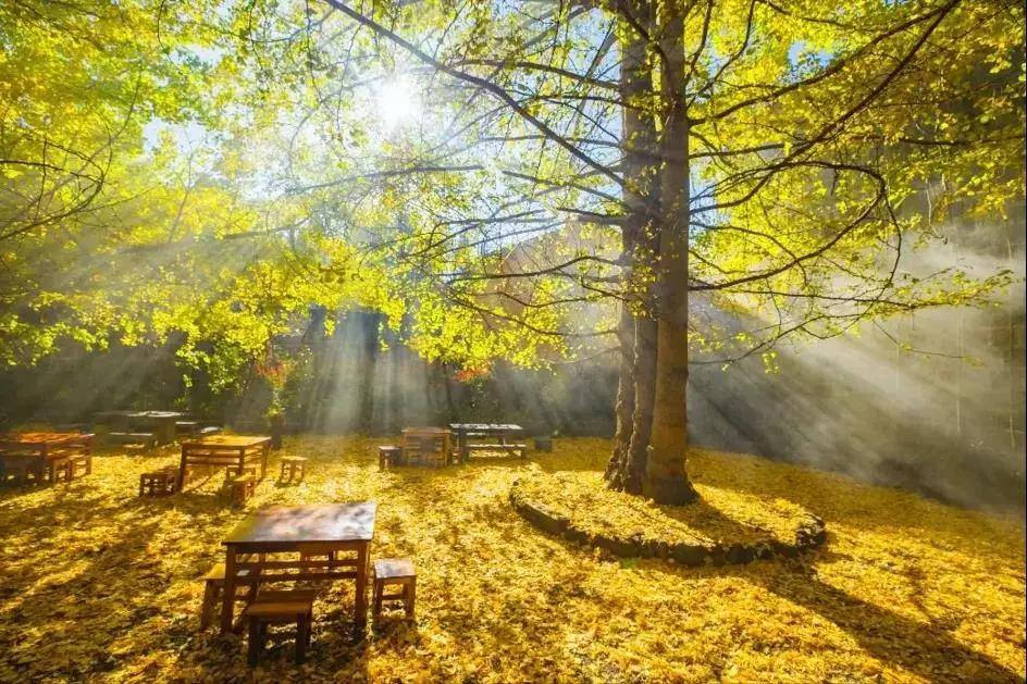 腾冲县地图在云南的哪个位置,腾冲边境地图