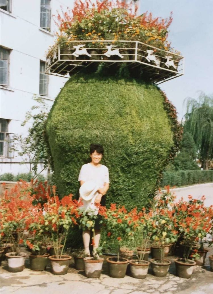 歌曲那年那月那一天舞台,歌曲那年那月那一天字幕完整版